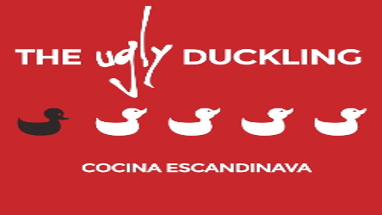 Presentación26